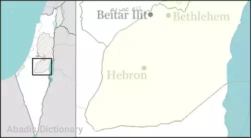 تنه عمریم
